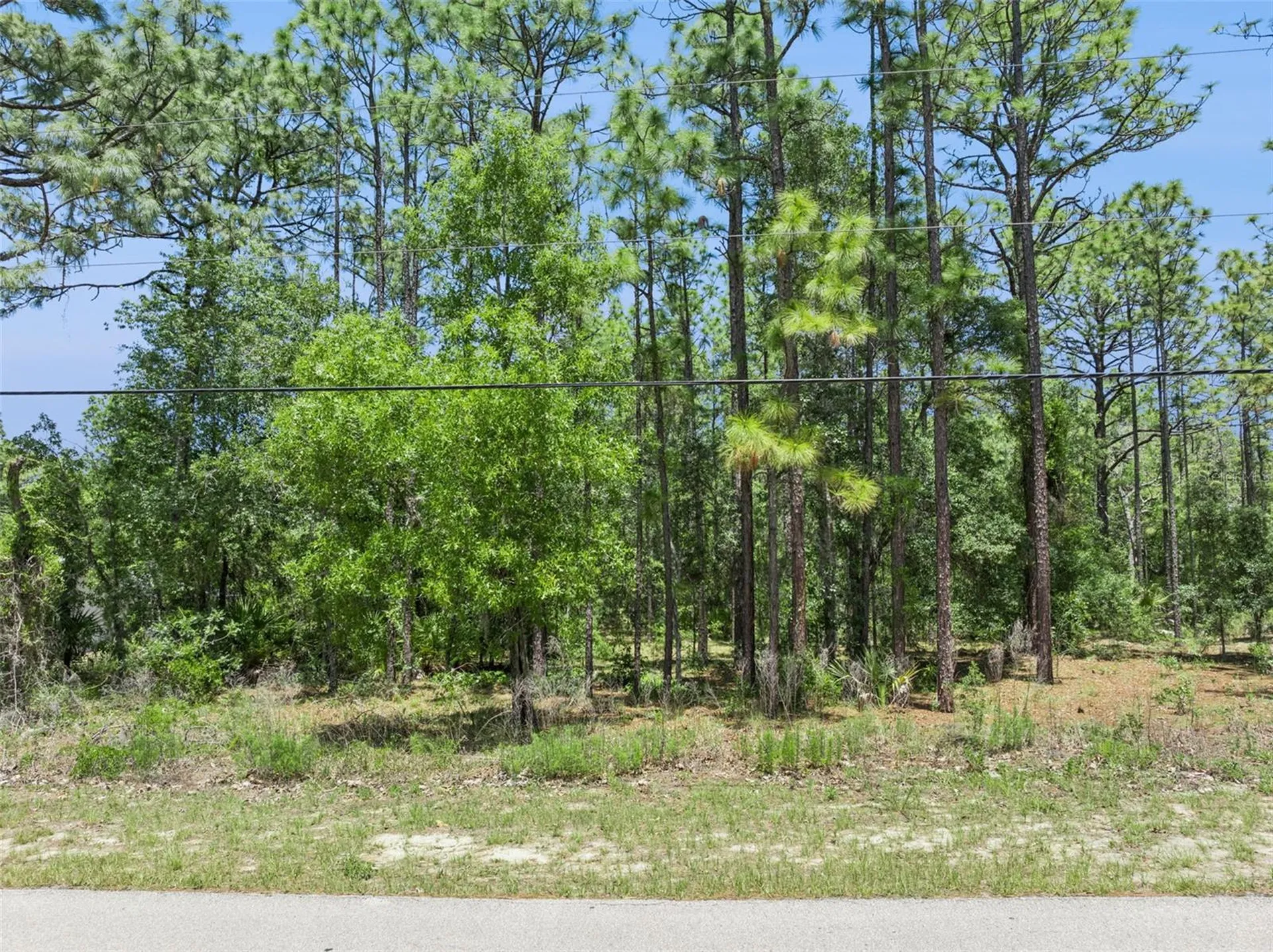 1797 W Union Street Hernando FL 34442