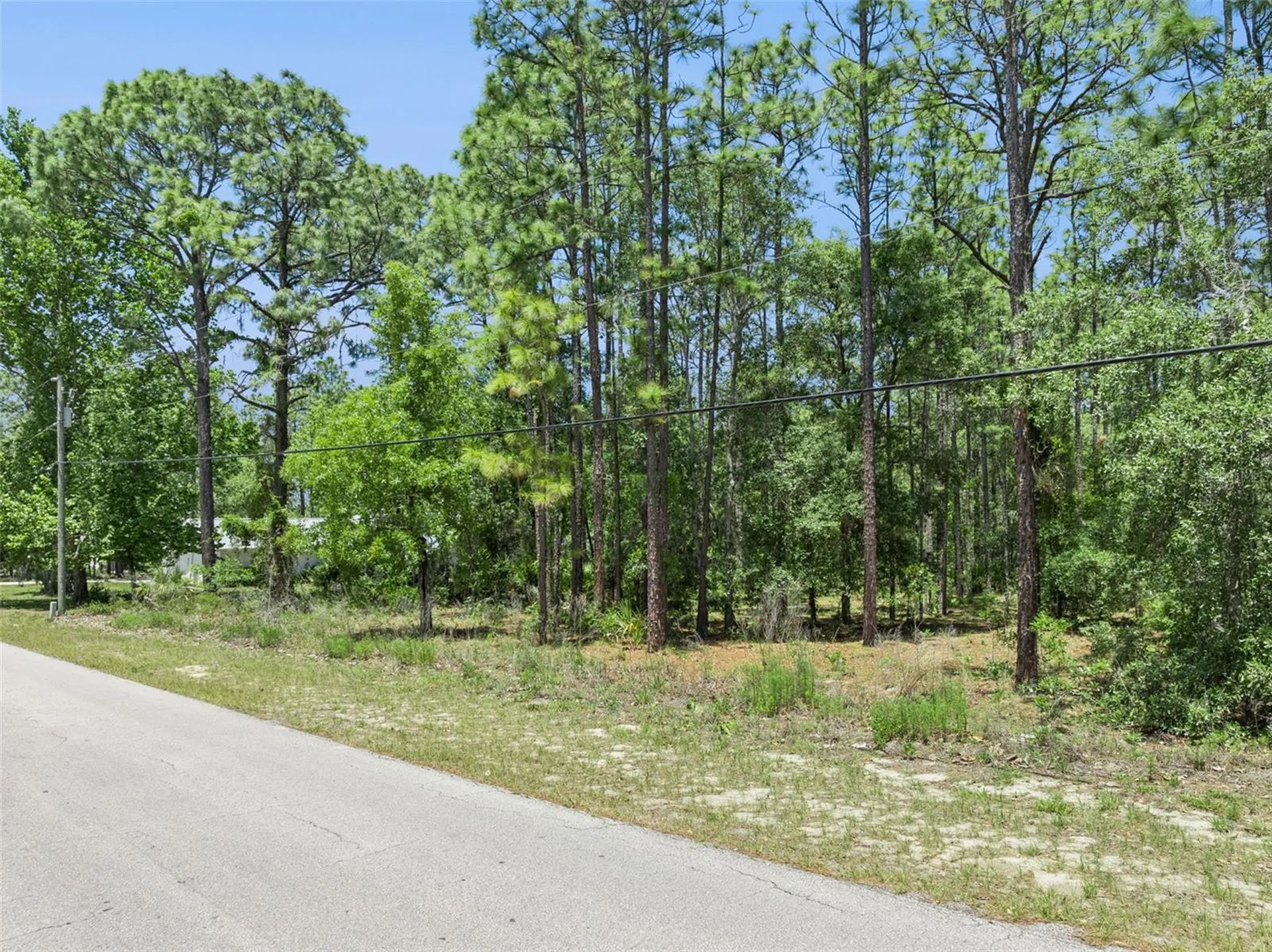 1797 W Union Street Hernando FL 34442