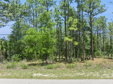 1797 W Union Street Hernando FL 34442