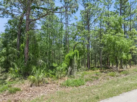 1797 W Union Street Hernando FL 34442