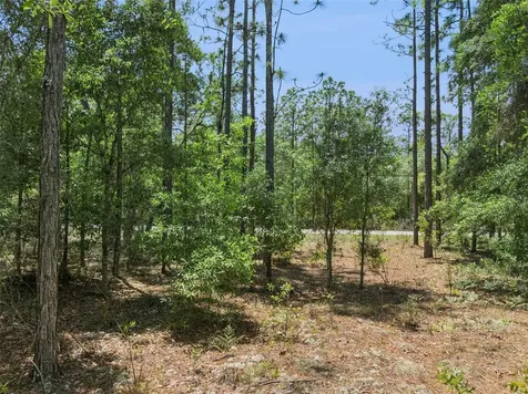 1797 W Union Street Hernando FL 34442
