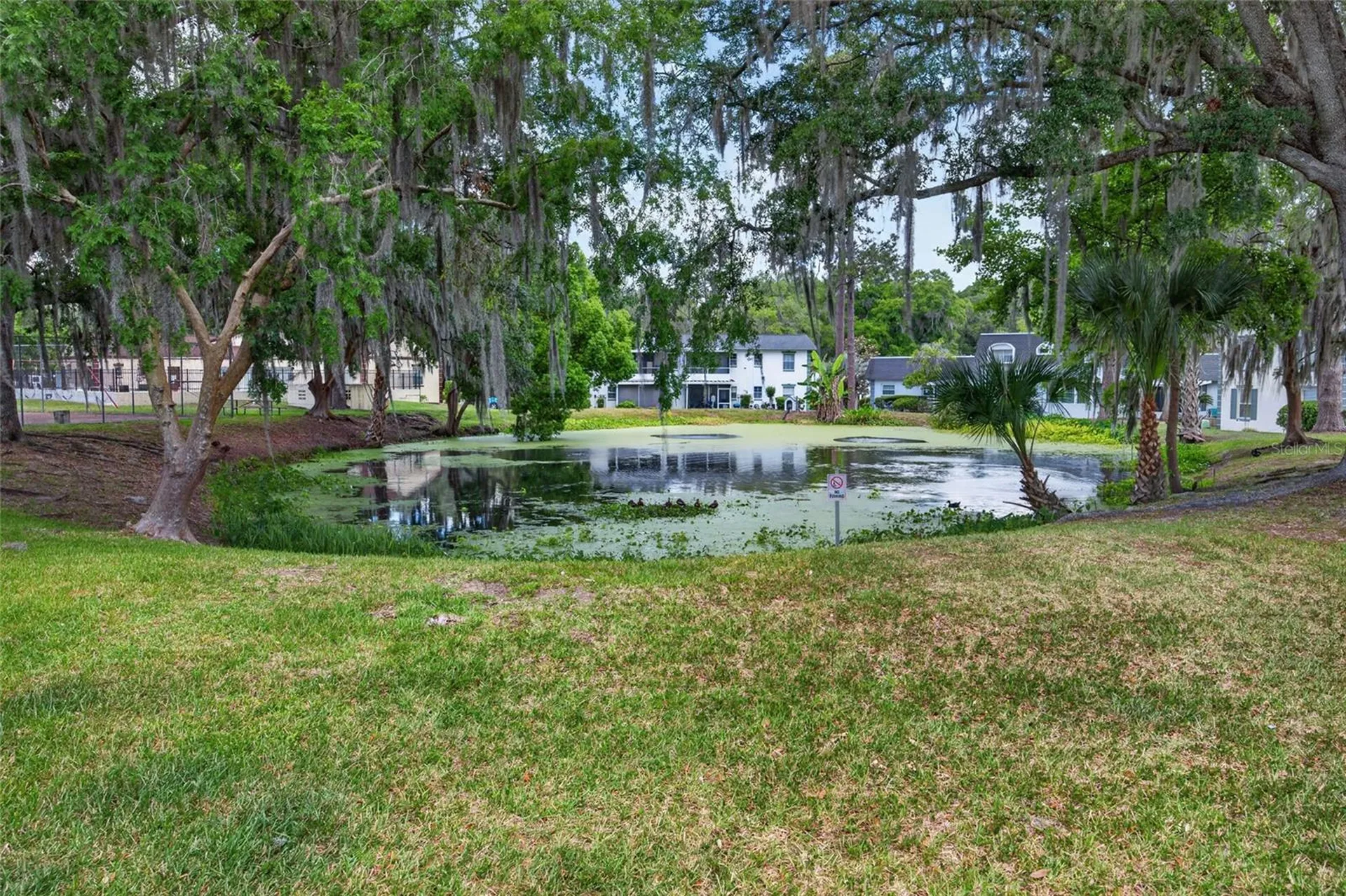 1567 SE 27th Street Ocala FL 34471