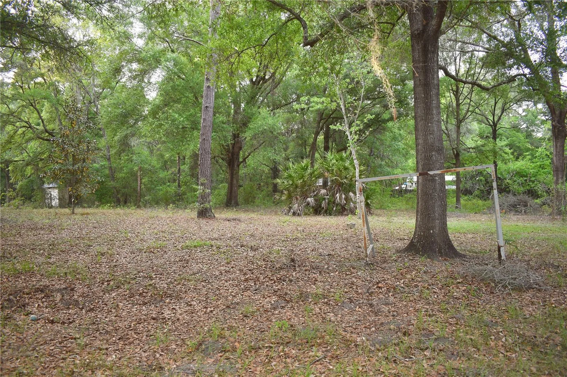 8231 NE 111th Street Bronson FL 32621