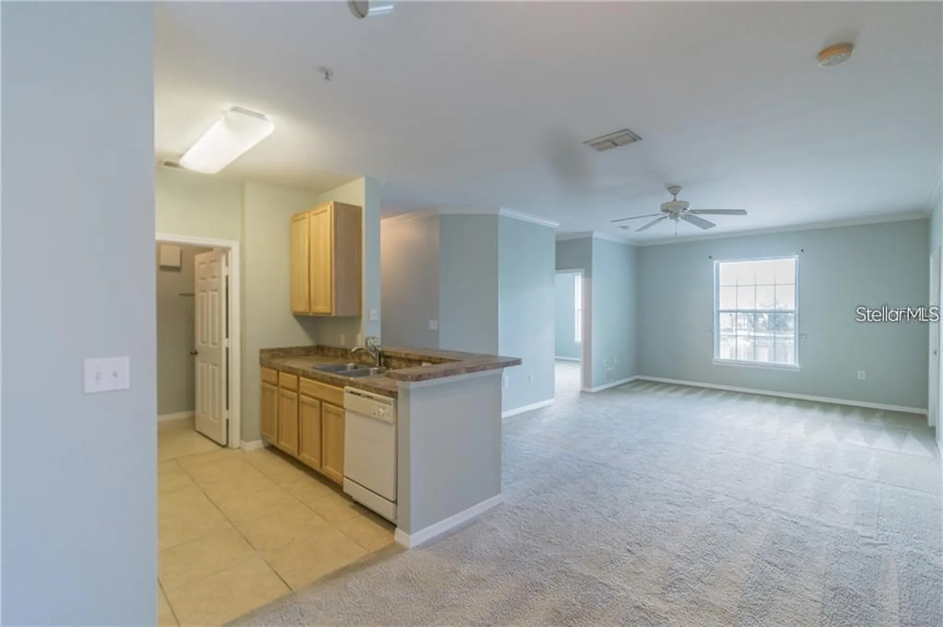 10203 Courtney Palms Boulevard Tampa FL 33619