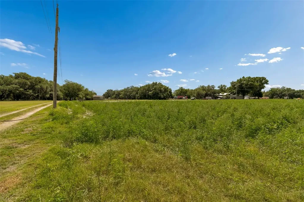 2413 Ed Brown Lane Plant City FL 33567