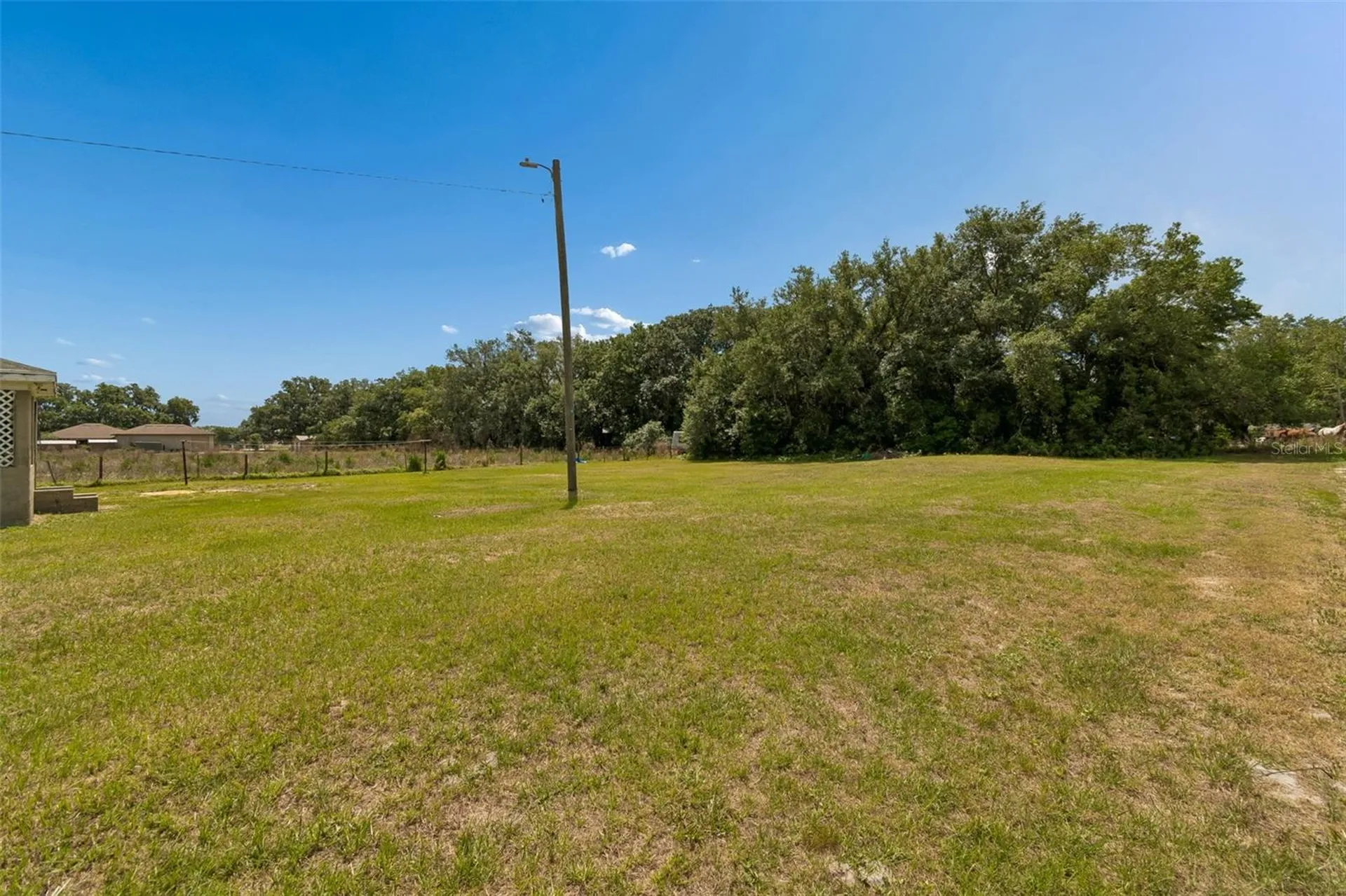 2413 Ed Brown Lane Plant City FL 33567