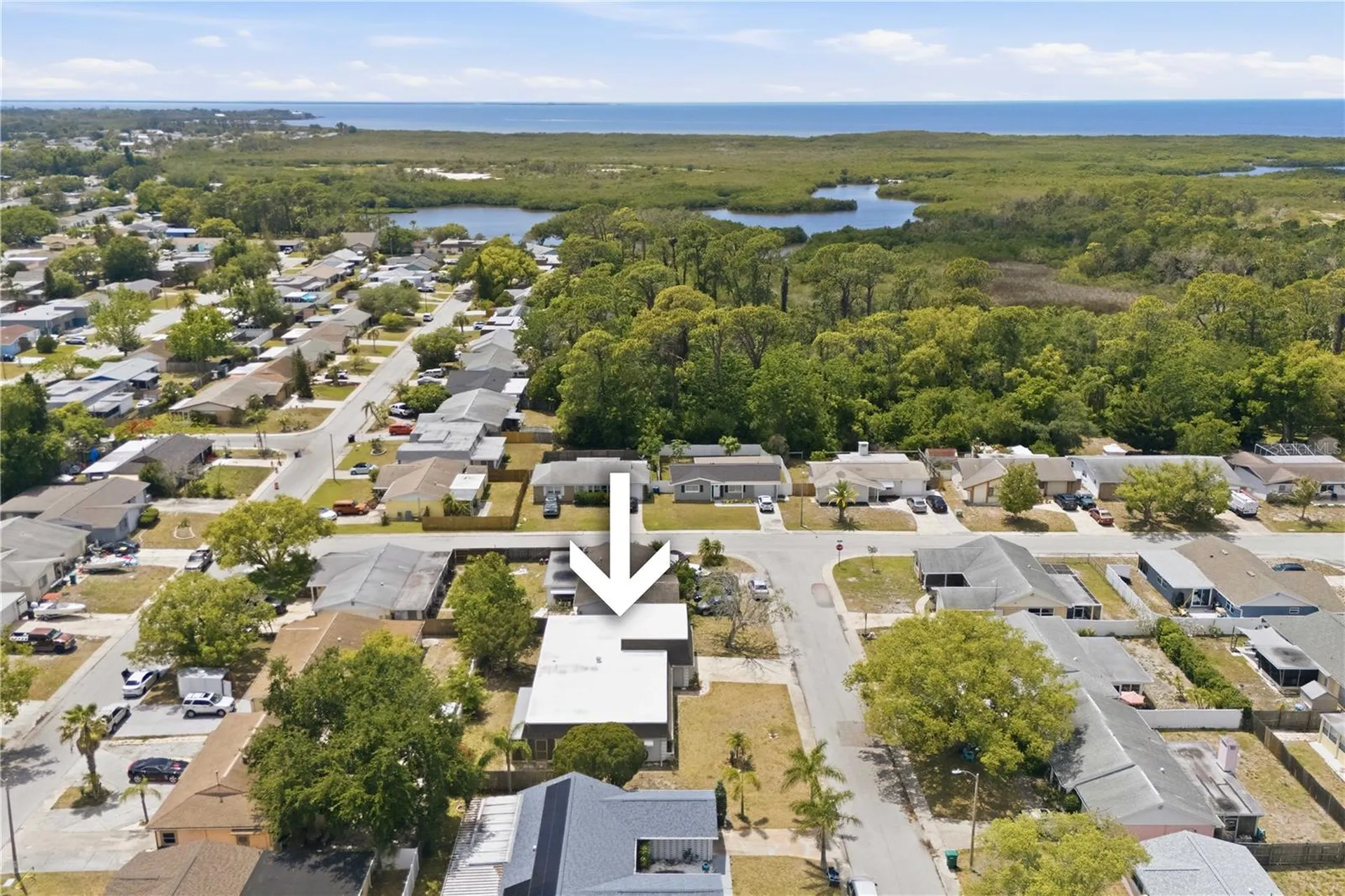 4018 Cashmere Drive New Port Richey FL 34652
