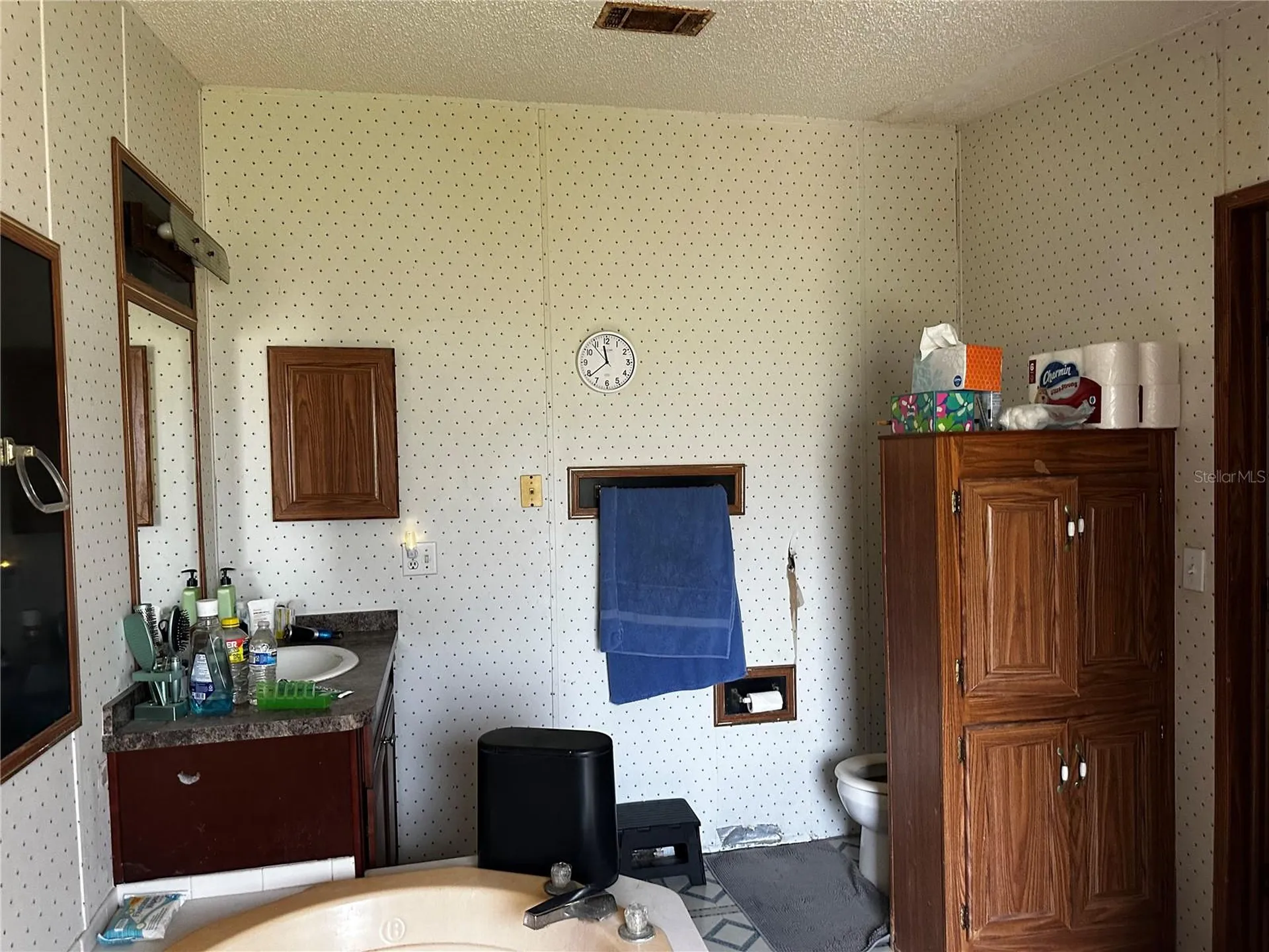 2765 Kerlew Drive Zolfo Springs FL 33890