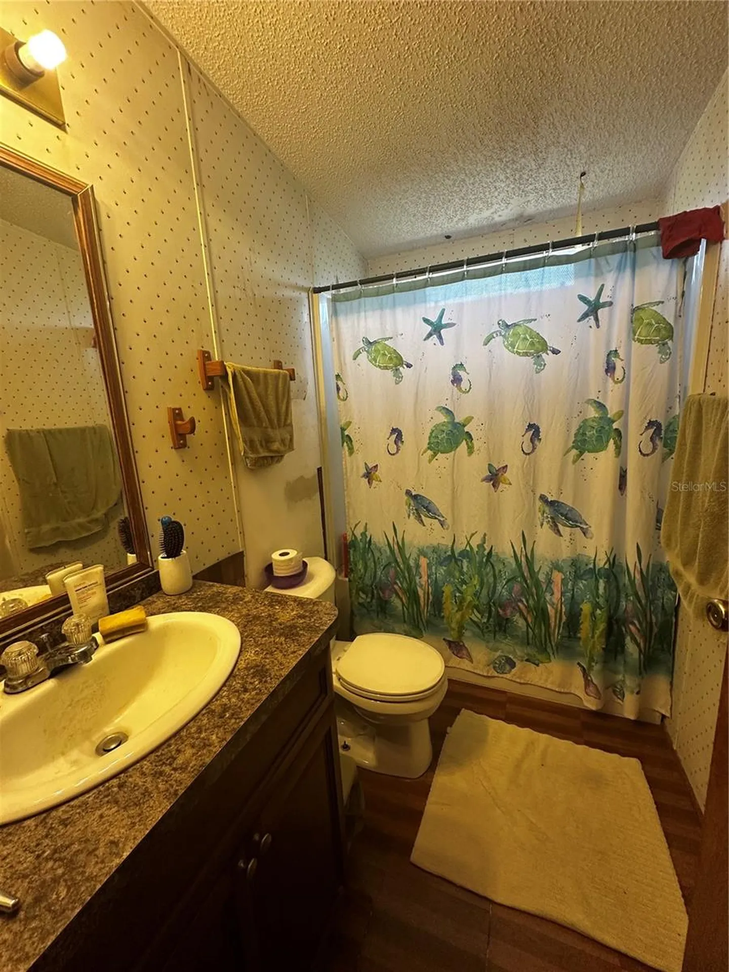 2765 Kerlew Drive Zolfo Springs FL 33890