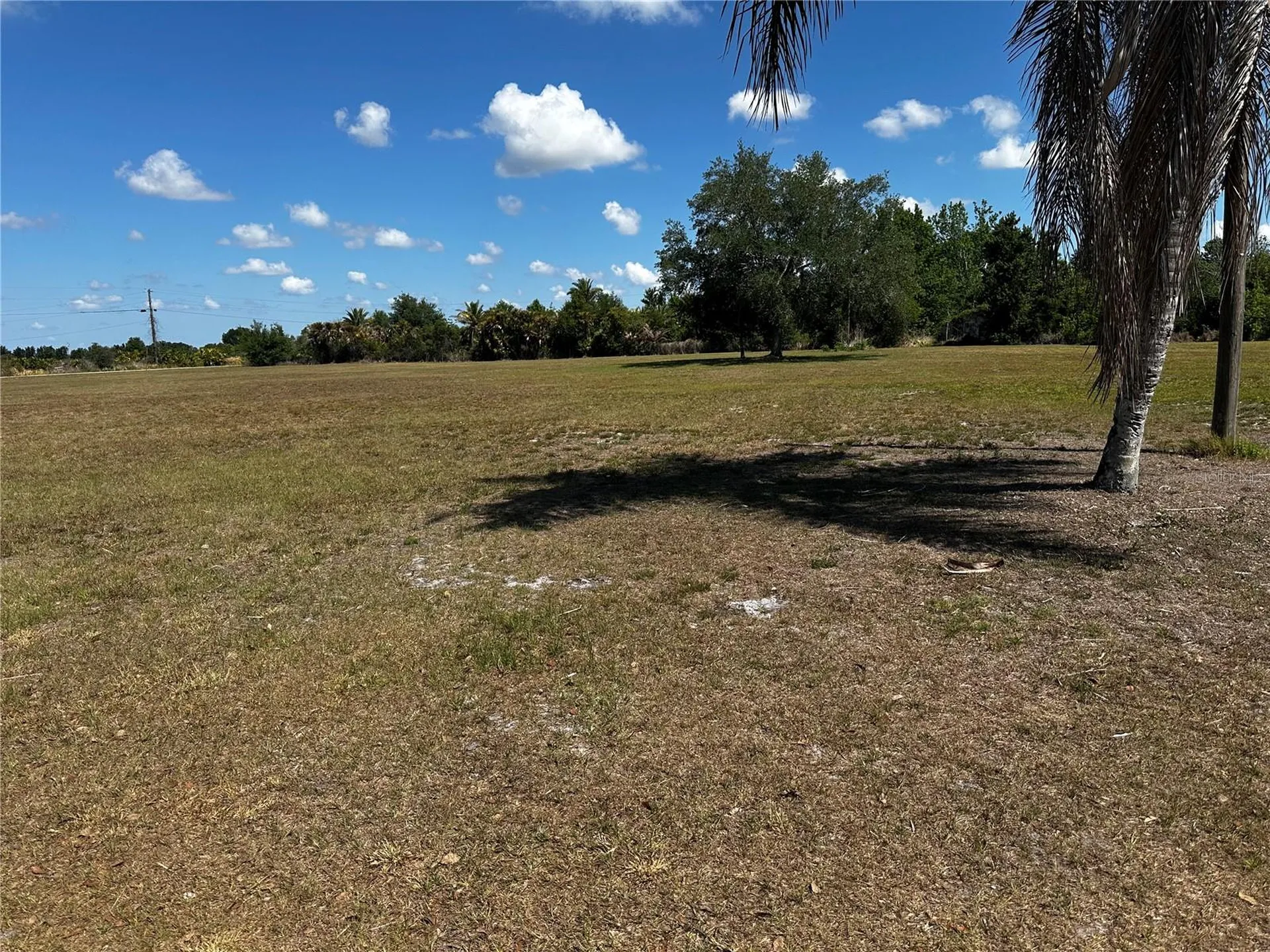 2765 Kerlew Drive Zolfo Springs FL 33890