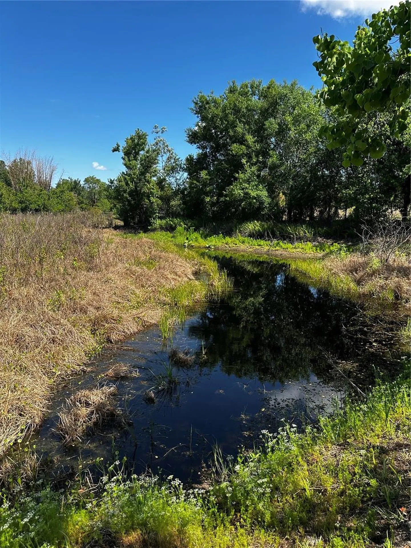 2765 Kerlew Drive Zolfo Springs FL 33890