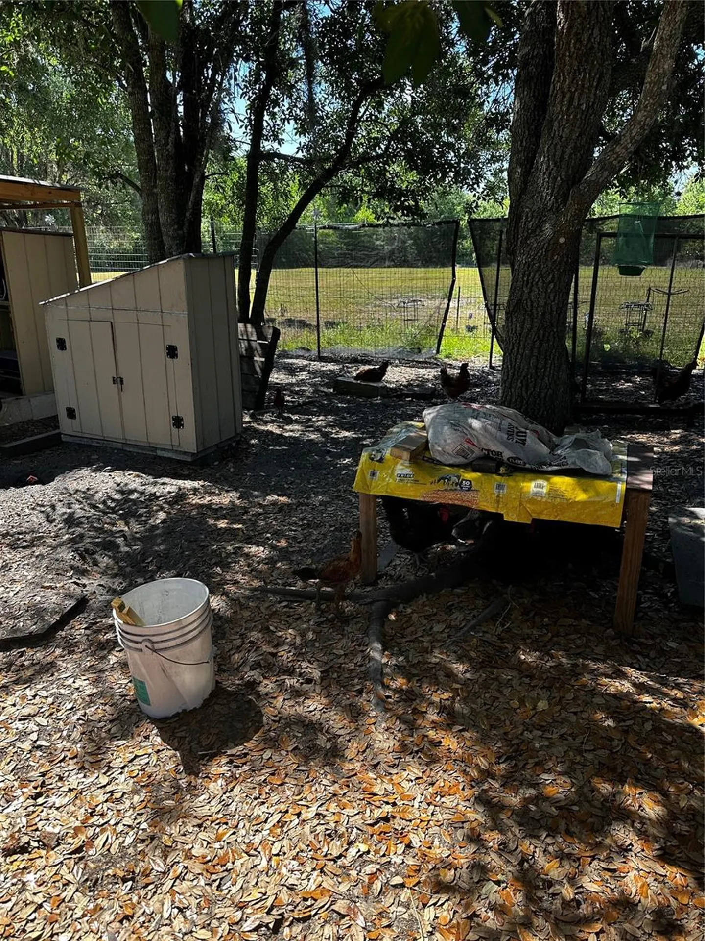 2765 Kerlew Drive Zolfo Springs FL 33890
