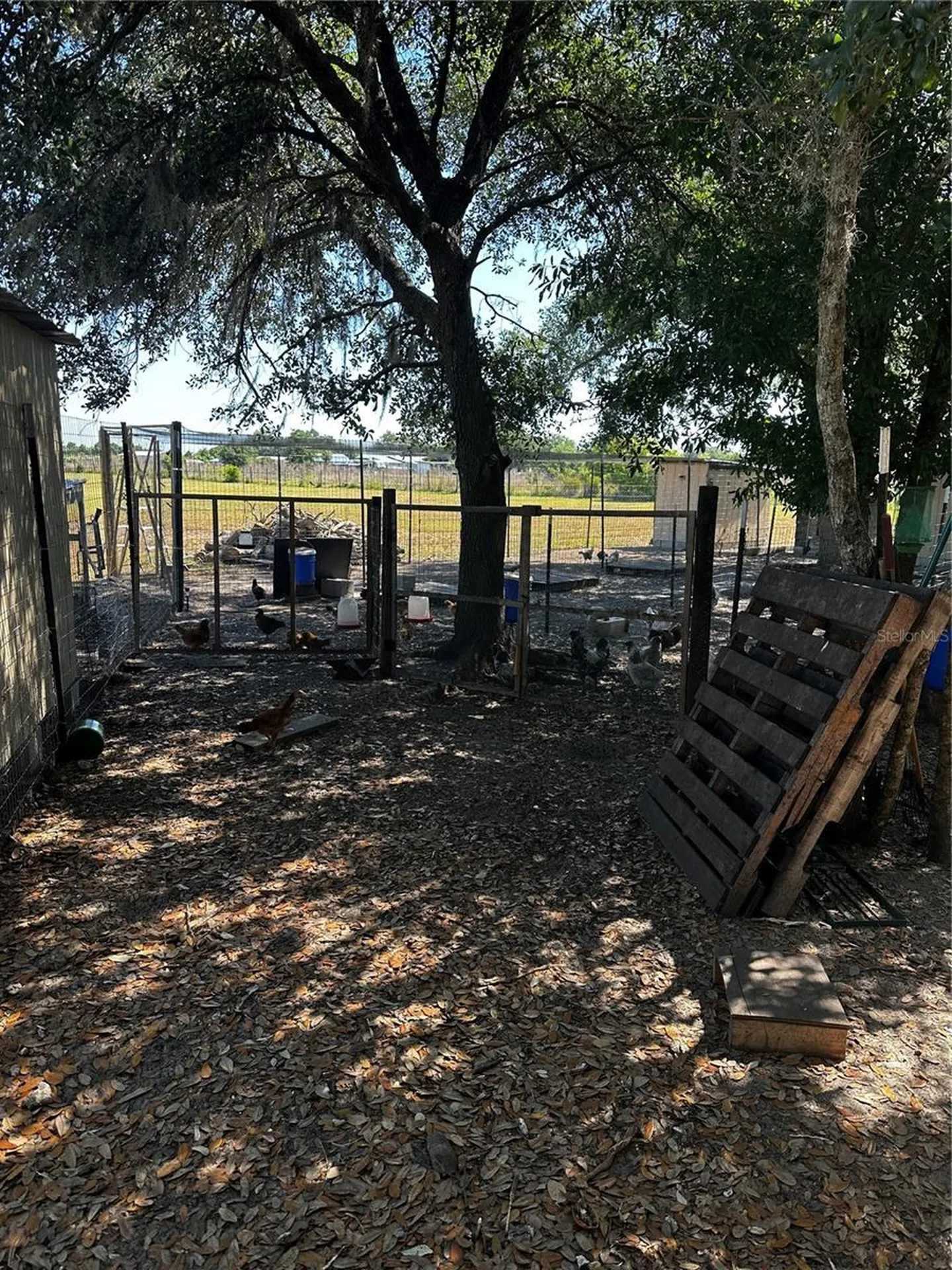 2765 Kerlew Drive Zolfo Springs FL 33890