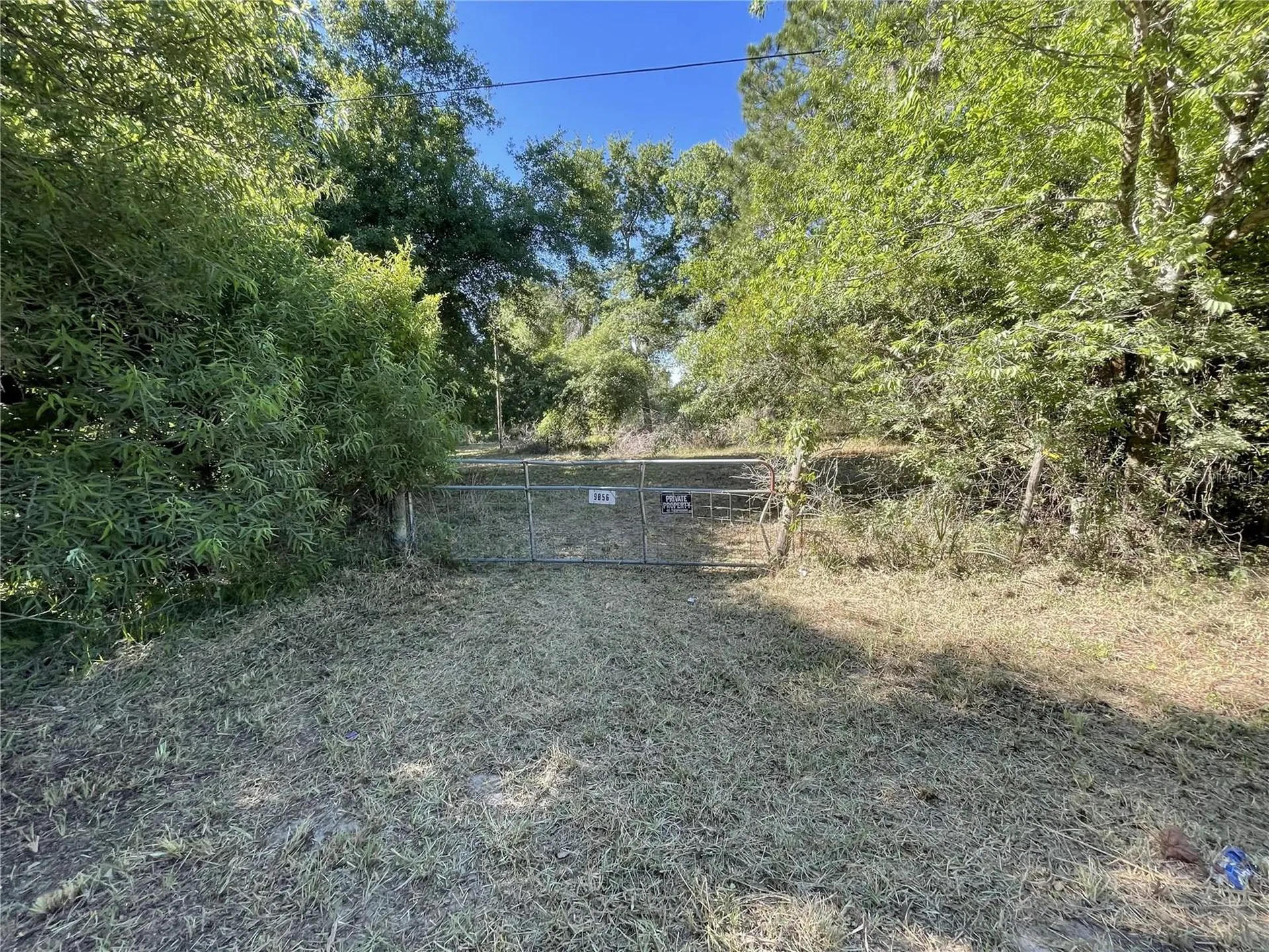 9856 Pangola Loop Land O Lakes FL 34639