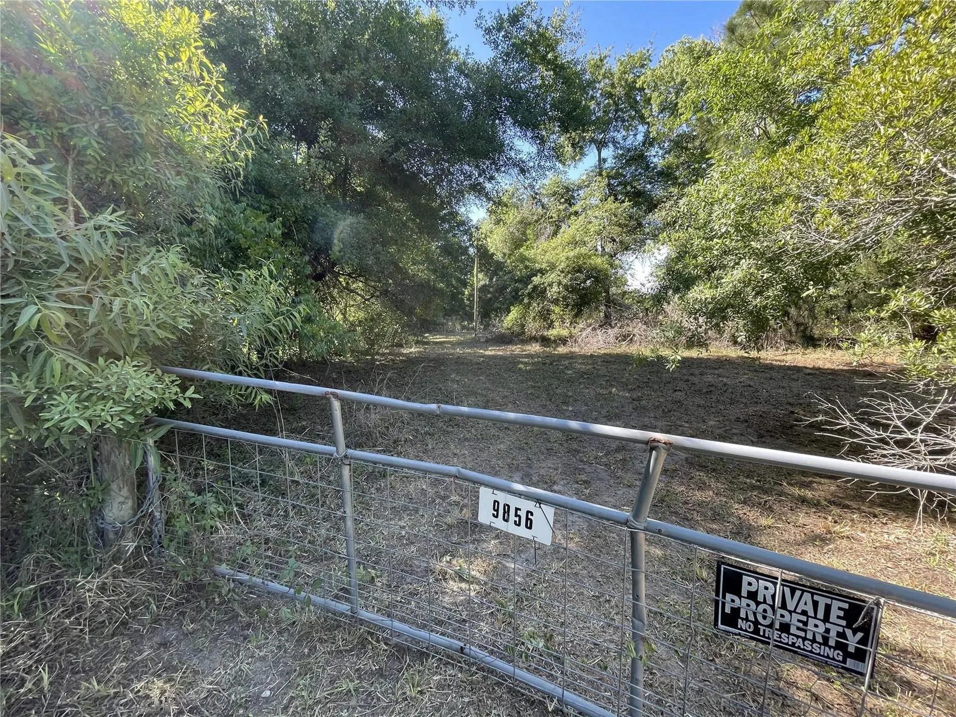 9856 Pangola Loop Land O Lakes FL 34639