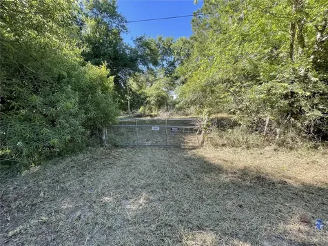 9856 Pangola Loop Land O Lakes FL 34639