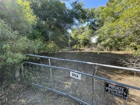 9856 Pangola Loop Land O Lakes FL 34639