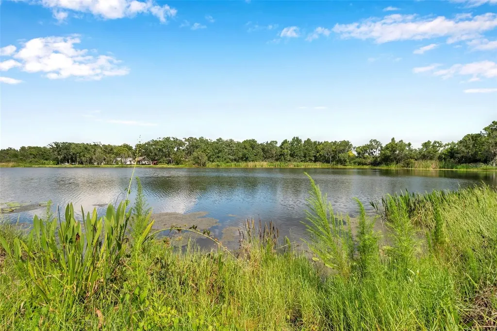 4812 Walnut Ridge Road Land O Lakes FL 34638