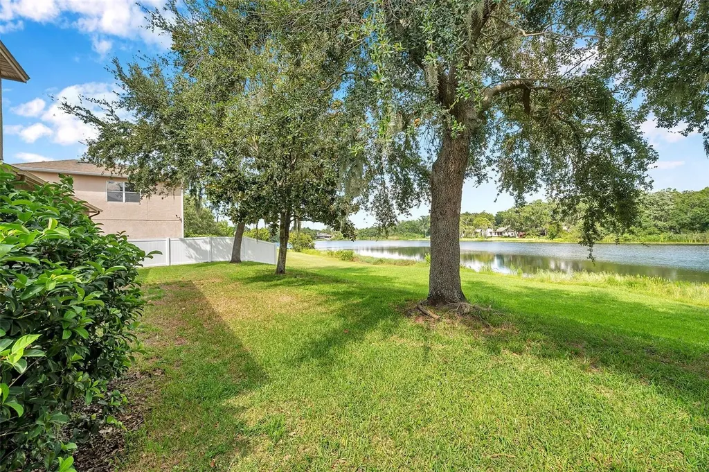 4812 Walnut Ridge Road Land O Lakes FL 34638