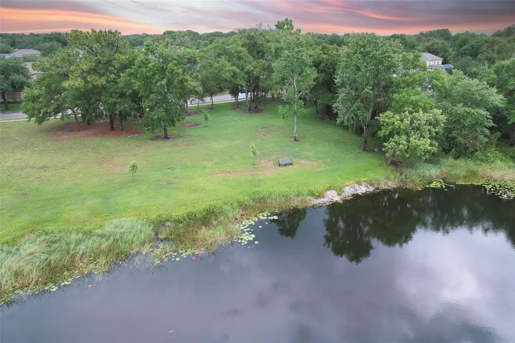 4812 Walnut Ridge Road Land O Lakes FL 34638