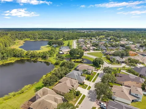 4812 Walnut Ridge Road Land O Lakes FL 34638