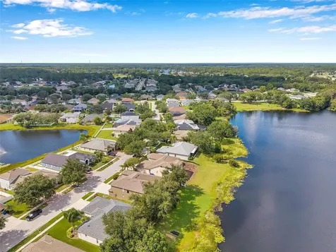 4812 Walnut Ridge Road Land O Lakes FL 34638