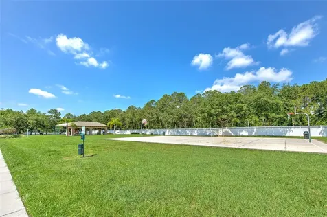 4812 Walnut Ridge Road Land O Lakes FL 34638