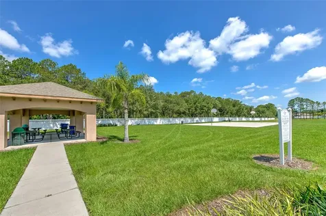 4812 Walnut Ridge Road Land O Lakes FL 34638