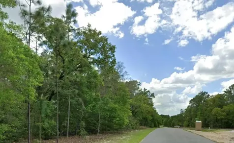 1968 W Shellbark Drive Citrus Springs FL 34434