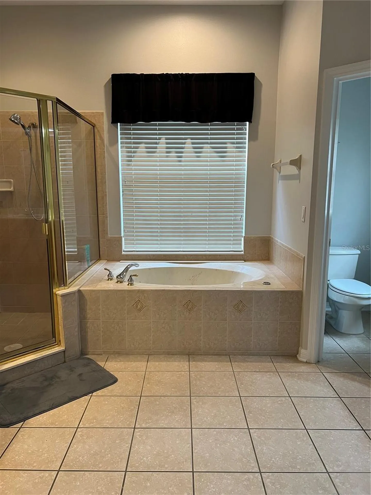 849 Shadowmoss Drive Winter Garden FL 34787