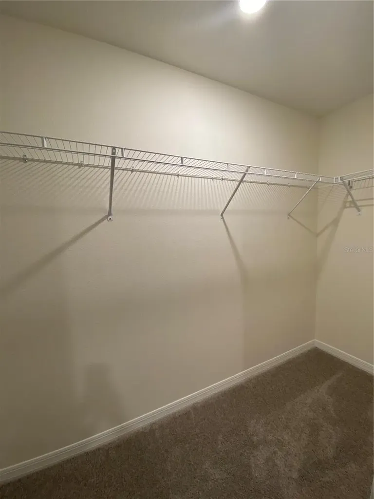 2923 Brie Hammock Bend St Cloud FL 34773