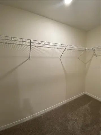2923 Brie Hammock Bend St Cloud FL 34773