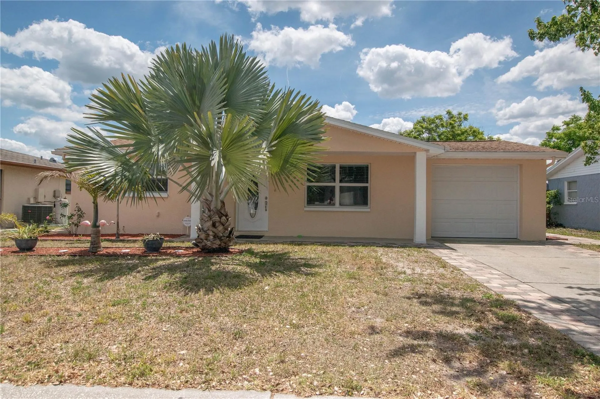 7130 Castanea Drive Port Richey FL 34668