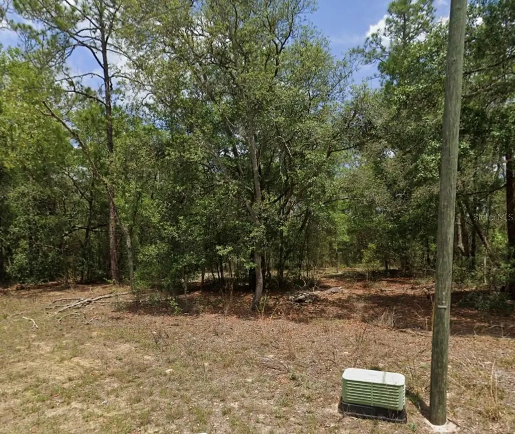 11304 N Fuego Drive Citrus Springs FL 34434