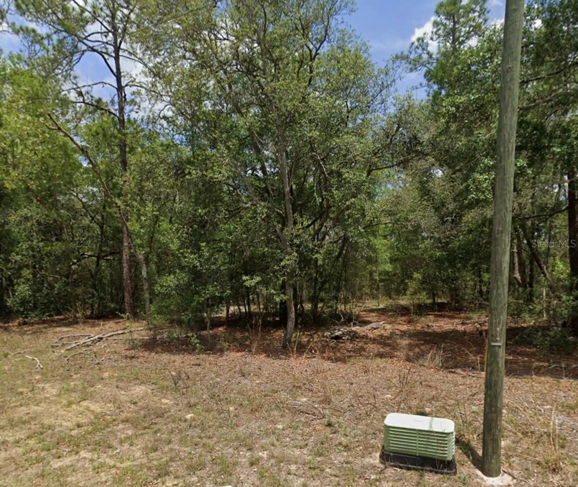 11304 N Fuego Drive Citrus Springs FL 34434
