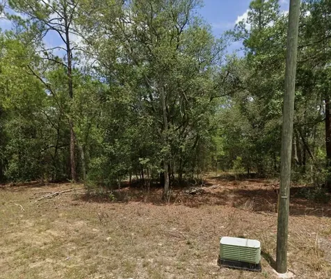 11304 N Fuego Drive Citrus Springs FL 34434