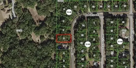 11304 N Fuego Drive Citrus Springs FL 34434