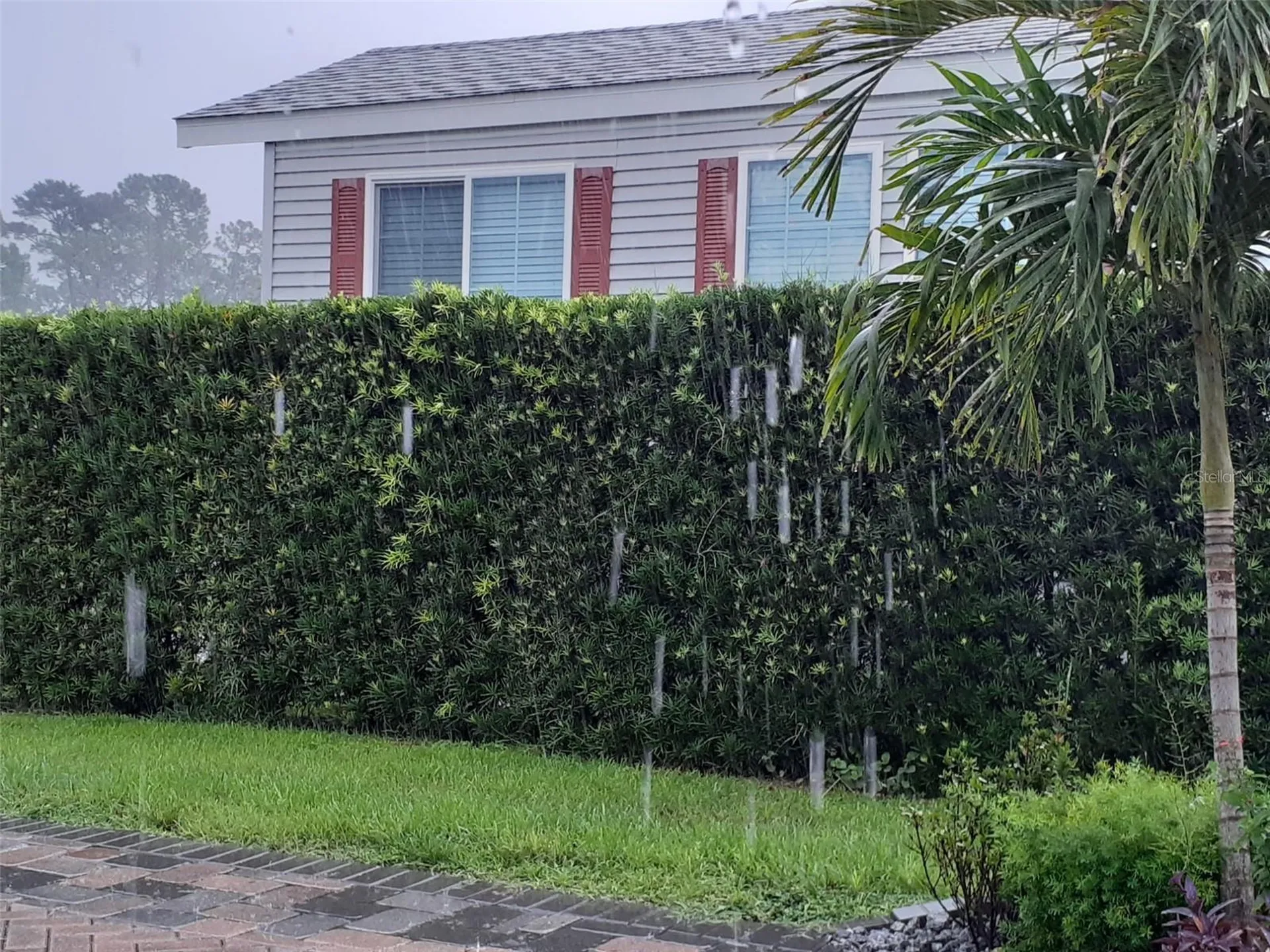 2328 Limewood Avenue Clermont FL 34714