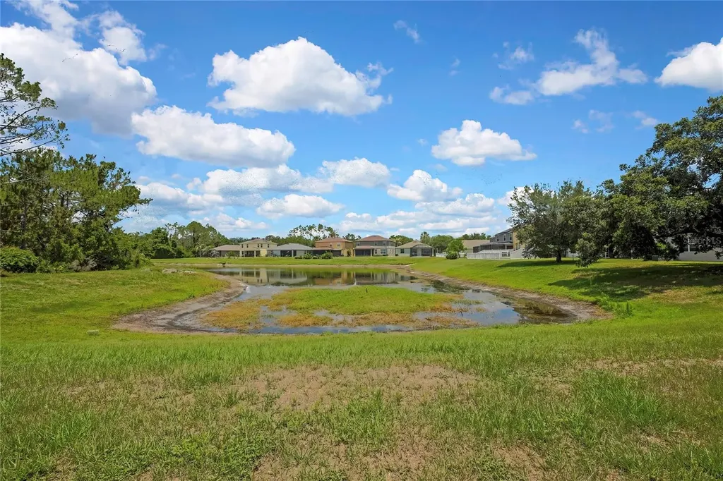 10536 Coral Key Avenue Tampa FL 33647