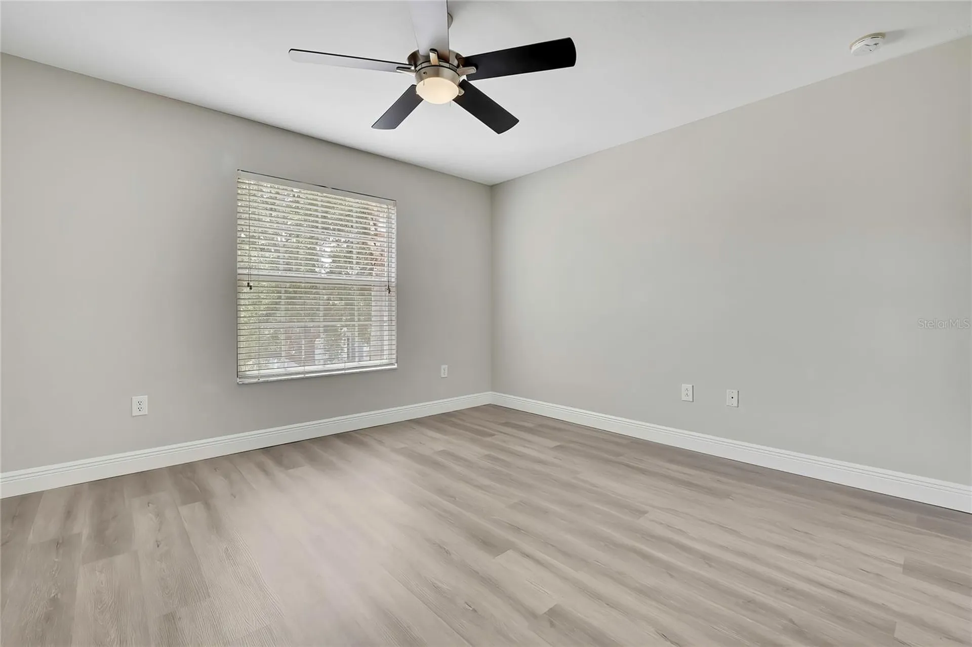 10536 Coral Key Avenue Tampa FL 33647