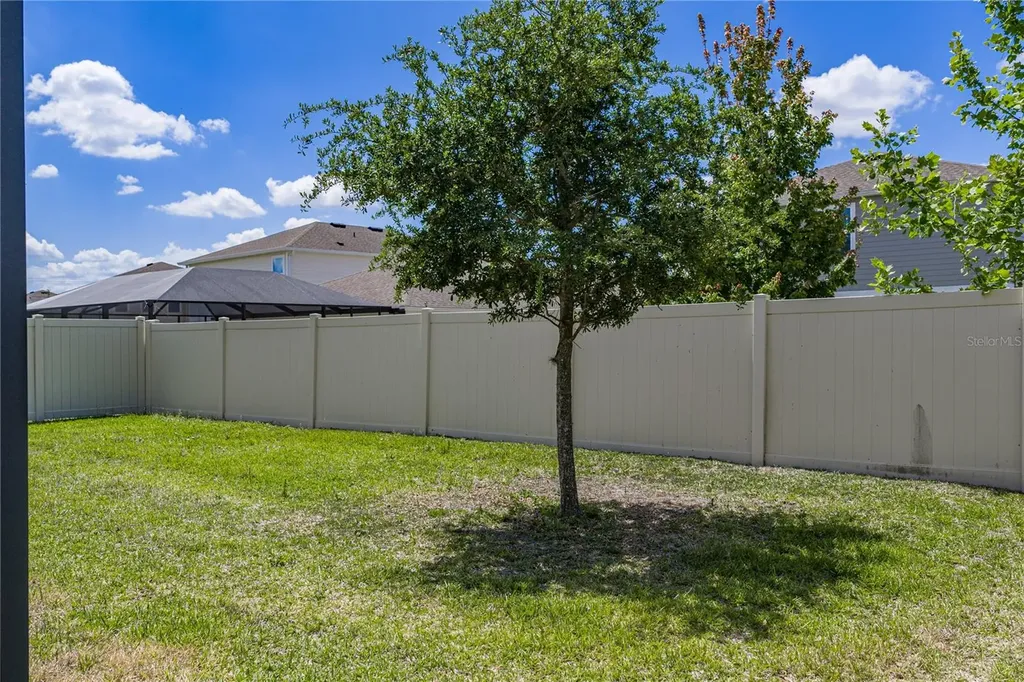 14633 Red Castle Avenue Lithia FL 33547