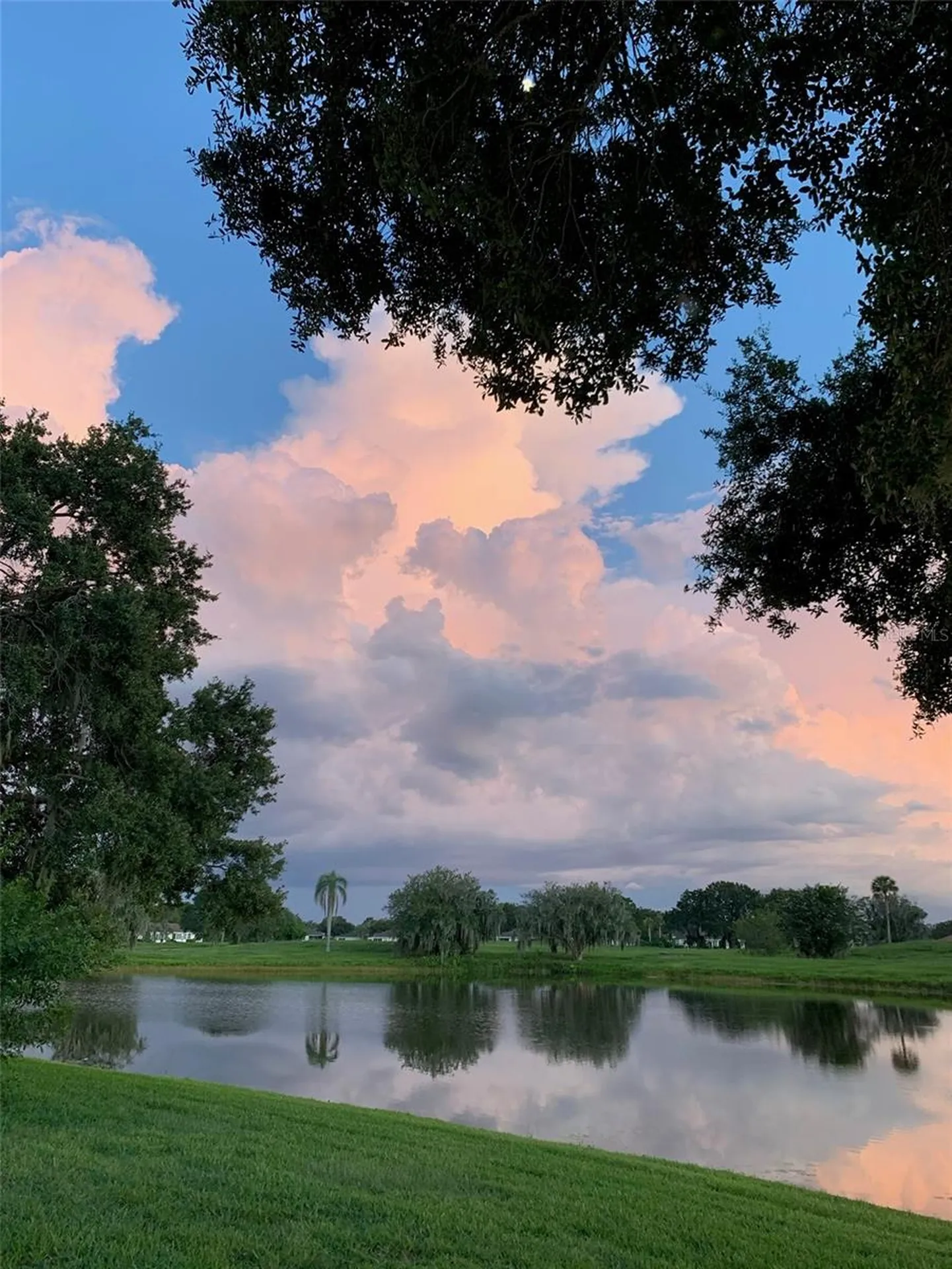 2611 Locksley Street Sun City Center FL 33573