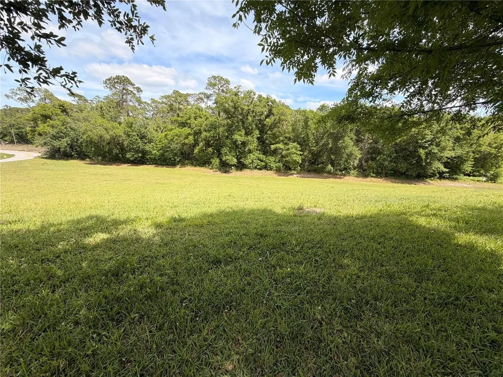 10013 Austrina Oak Loop Winter Garden FL 34787