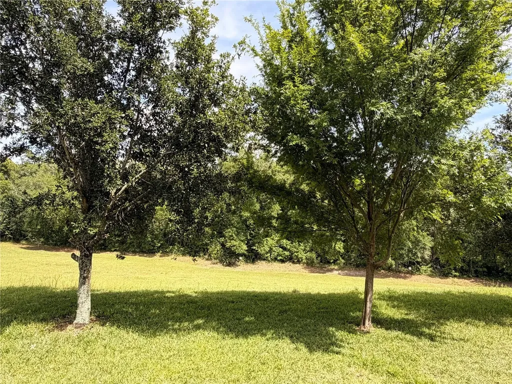 10013 Austrina Oak Loop Winter Garden FL 34787