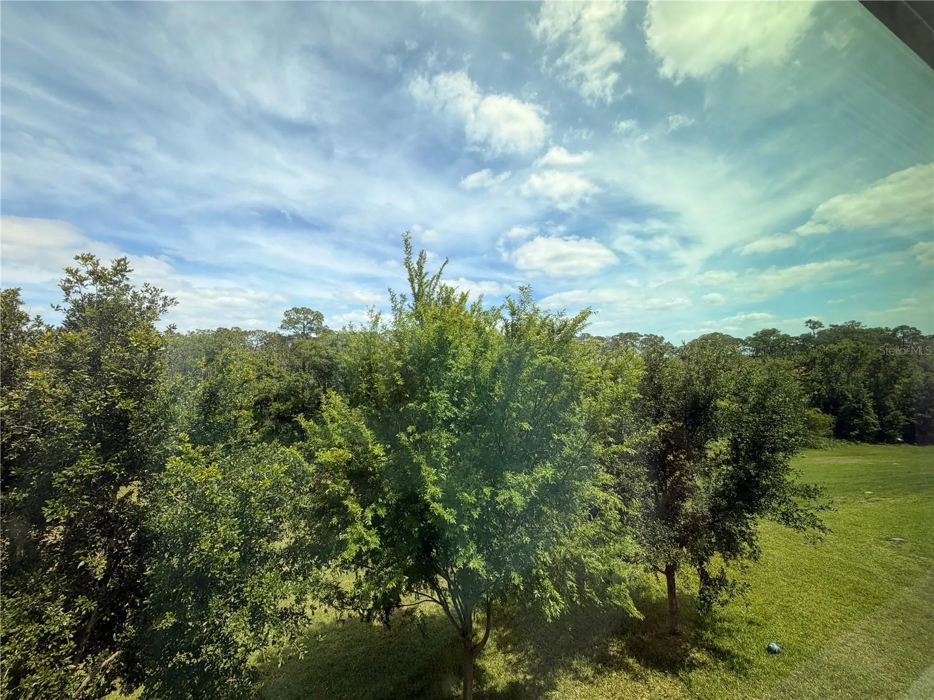 10013 Austrina Oak Loop Winter Garden FL 34787