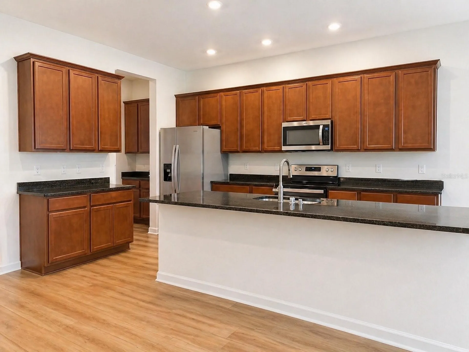 10013 Austrina Oak Loop Winter Garden FL 34787