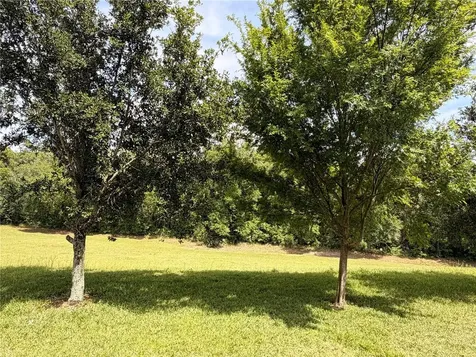 10013 Austrina Oak Loop Winter Garden FL 34787