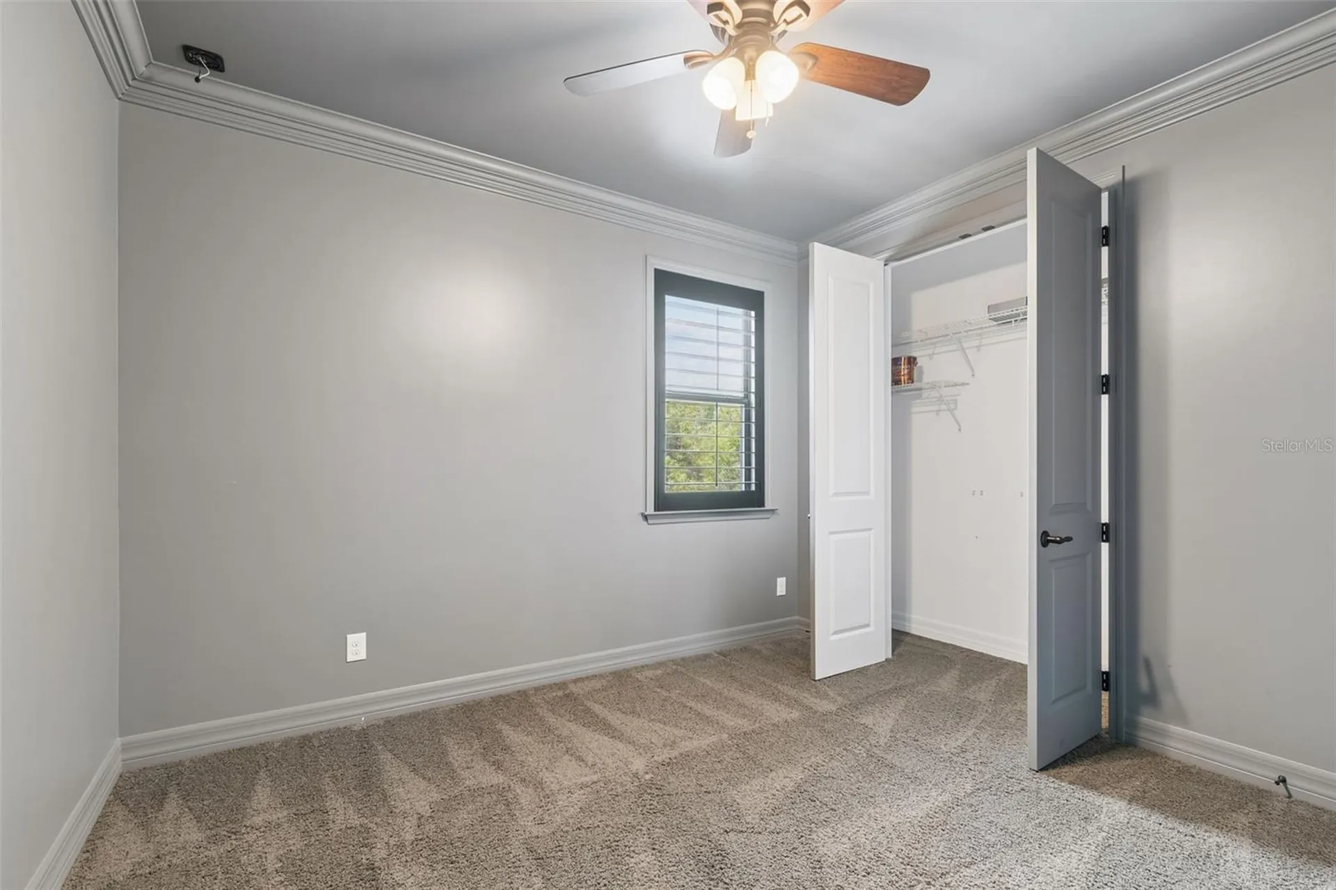 14320 Avon Farms Drive Tampa FL 33618