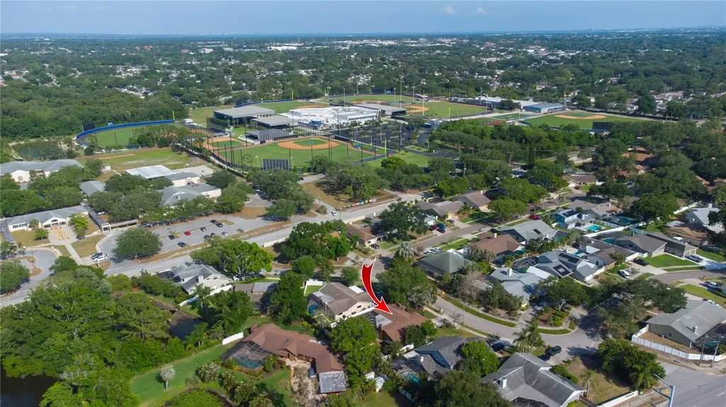 1656 Brae Moor Lane Dunedin FL 34698