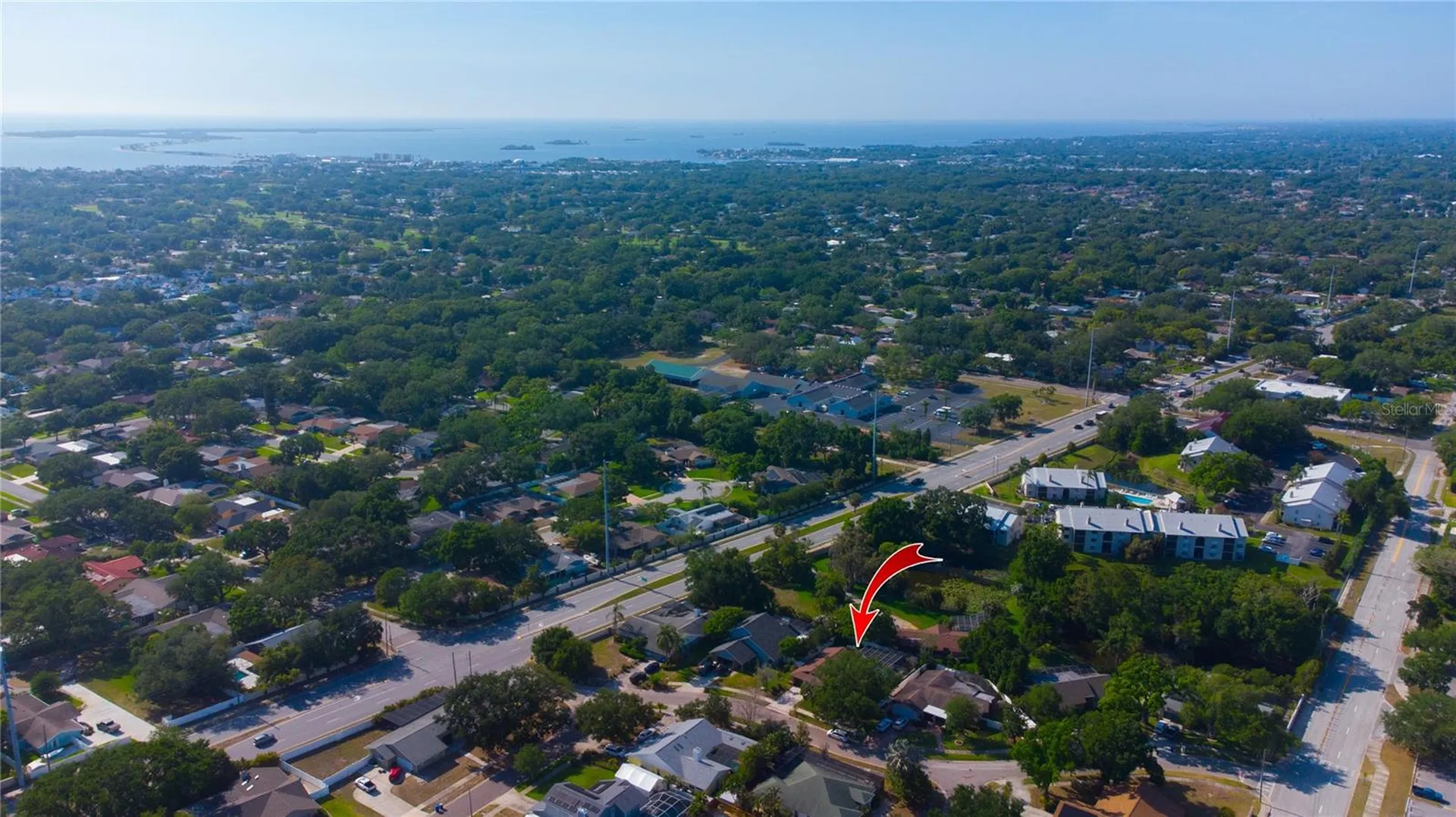 1656 Brae Moor Lane Dunedin FL 34698